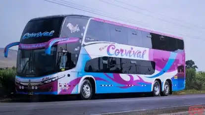 Turismo Corvival Bus-Side Image