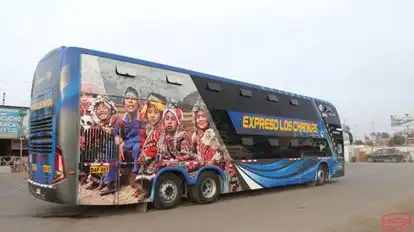 Expreso Los Chankas Bus-Side Image