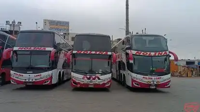 Molina Lider Bus Bus-Front Image