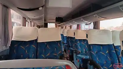 Molina Lider Bus Bus-Seats Image