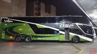 Transportes Nacional San Pedro Bus-Side Image