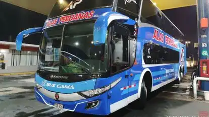 San Luis Hnos Bus-Front Image