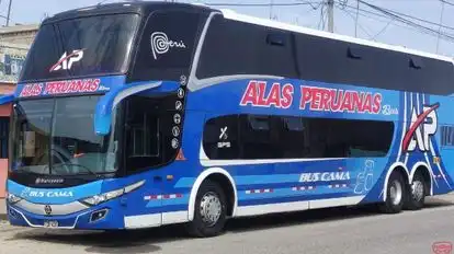 San Luis Hnos Bus-Side Image