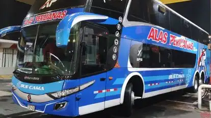 San Luis Hnos Bus-Side Image