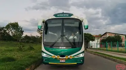 Turismo Dias Bus-Front Image