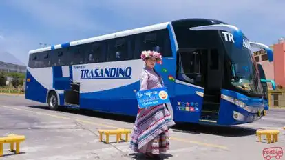 Turismo Trasandino Bus-Side Image