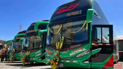 Expreso Nacional Bus-Front Image