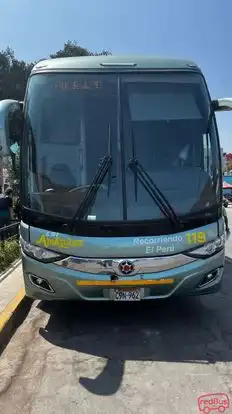 LSI Amanzonas Bus-Front Image