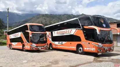 Tours Rodriguez Bus-Front Image
