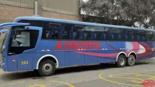 Expreso Antezana Bus-Front Image