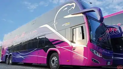 Challenger Bus-Front Image