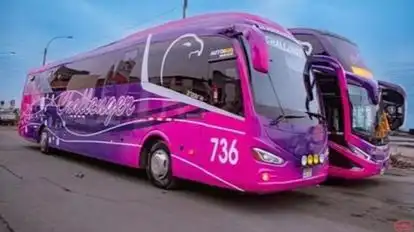 Challenger Bus-Seats layout Image