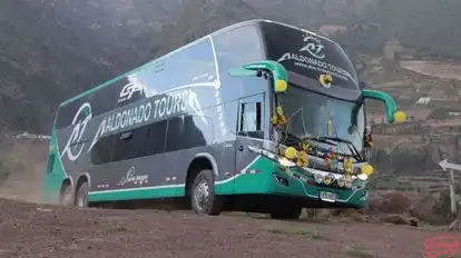 Maldonado Tours Bus-Front Image