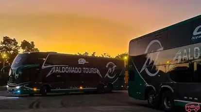 Maldonado Tours Bus-Front Image