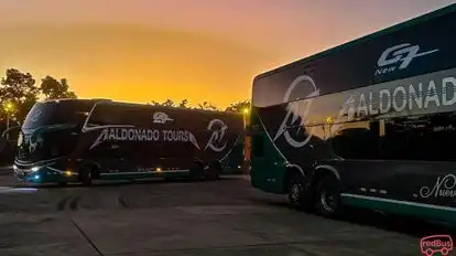 Maldonado Tours Bus-Front Image