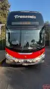 Transzela Bus-Front Image