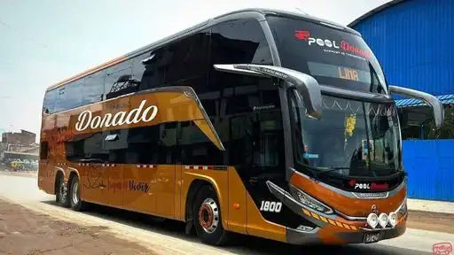 Pool Dorado Bus-Front Image