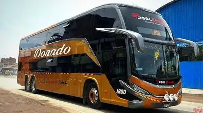 Pool Dorado Bus-Front Image