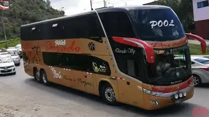 Pool Dorado Bus-Front Image