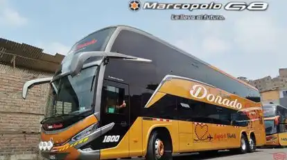 Pool Dorado Bus-Front Image