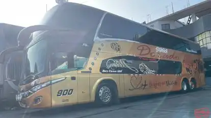 Pool Dorado Bus-Side Image