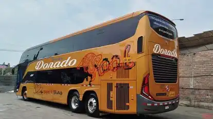Pool Dorado Bus-Side Image