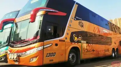 Pool Dorado Bus-Side Image