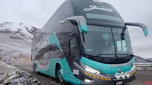 Transportes Judith Bus-Front Image