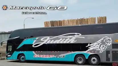 Transportes Judith Bus-Side Image