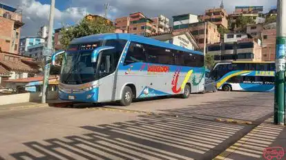 Transsalvador Bus-Front Image