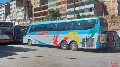 Transsalvador Bus-Side Image