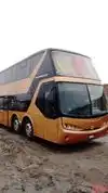 Primera Plus Bus-Front Image