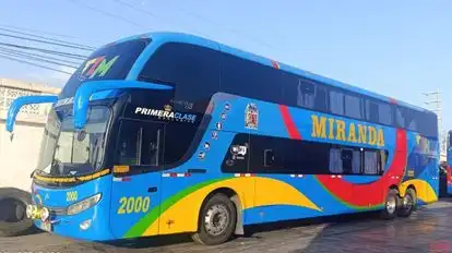 Transportes Miranda Bus-Side Image