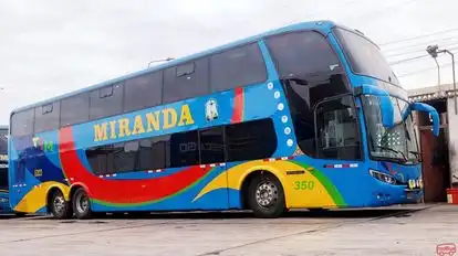 Transportes Miranda Bus-Side Image