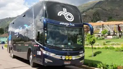 Megabus Bus-Front Image