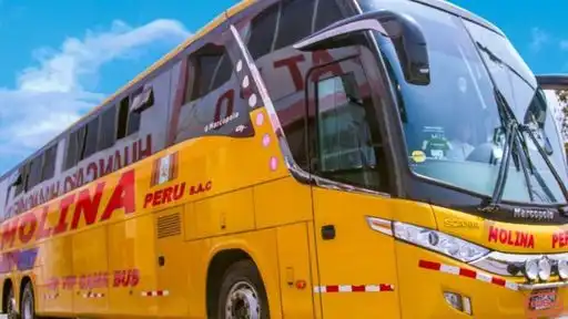 Transportes Molina Peru Bus-Front Image