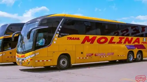 Transportes Molina Peru Bus-Front Image