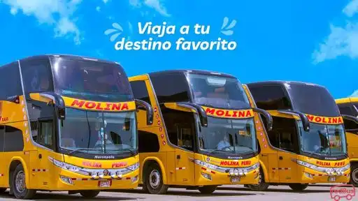 Transportes Molina Peru Bus-Front Image