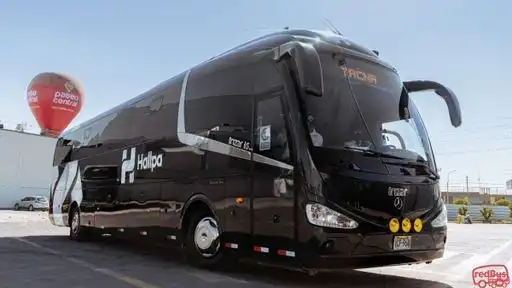 Hallpa Bus-Front Image
