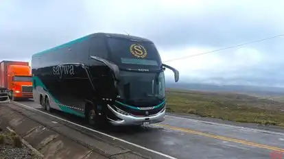 Transporte Saywa Bus-Front Image
