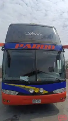 Internacional Pardo Bus-Front Image