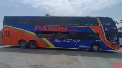 Internacional Pardo Bus-Side Image