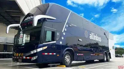 Allinbus Bus-Front Image