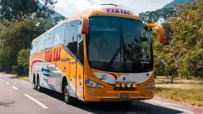 Via Sac Bus-Side Image