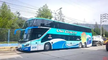 Via Costa Line Bus-Front Image