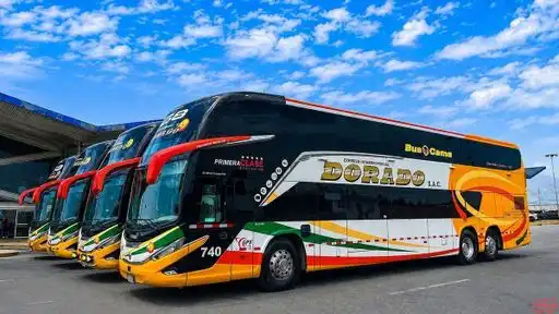 Expreso Interprovincial Dorado Bus-Front Image