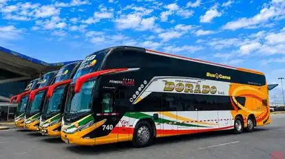 Expreso Interprovincial Dorado Bus-Front Image