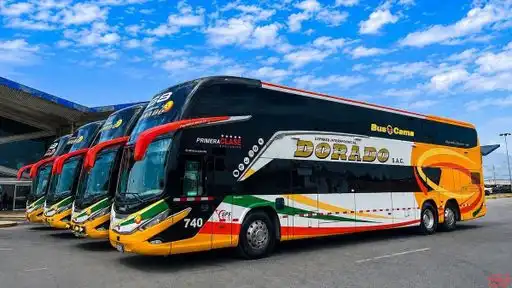 Expreso Interprovincial Dorado Bus-Front Image