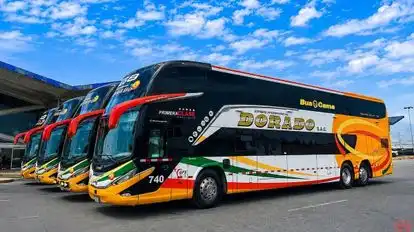 Expreso Interprovincial Dorado Bus-Front Image