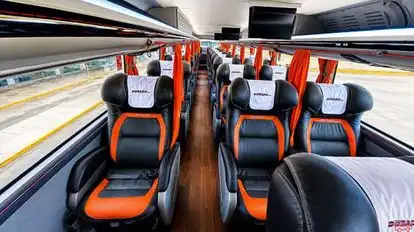 Expreso Interprovincial Dorado Bus-Seats Image